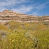 Drumheller