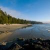 Guest Houses in Tofino