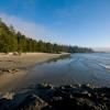 Tofino