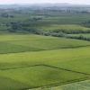 Upington