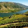 Hotels with Parking in Valença do Douro