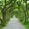 โรงแรมที่มีที่จอดรถในSchwabhausen bei Dachau