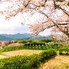 Maisons d'Hôtes à Sasayama