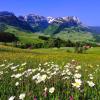 Hoteles familiares en Heiden