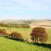 Cheap Hotels in Sedlescombe