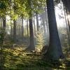 Geisfeld şehrindeki otoparklar