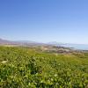 Manilva