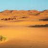 Hotels in Merzouga