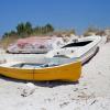 Casas y chalets en Marina di Bibbona