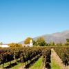 Hoteles en Cafayate