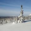 Skidresorter i Grövelsjön