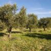 Hoteles con parking en Mas blanc des Alpilles