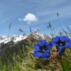 Obergurgl
