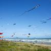 Holiday Rentals in Otaki