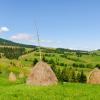 Călimăneşti