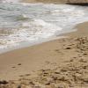 Vama Veche