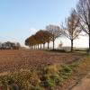 Hotels with Parking in Sint Odiliënberg