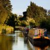 Pet-Friendly Hotels in Ellesmere