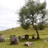 Viešbučiai mieste Ponsavanas