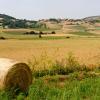 Case per le vacanze a Ponte Felcino