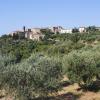 Holiday Rentals in Montemassi