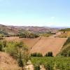 Holiday Rentals in Montefiore dellʼAso