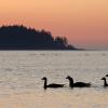 Hoteles familiares en Nanoose Bay