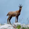 Hoteller med parkeringsplass i Isola del Gran Sasso dʼItalia