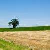 Allotjaments vacacionals a Baugé-en-Anjou