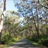 Cottages in Berrima