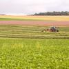 Alquileres vacacionales en Créney-près-Troyes