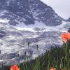 Complexuri de schi în Clavans-en-Haut-Oisans