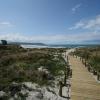 Waihi Beach