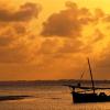 Lamu