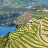 أماكن عطلات للإيجار في Covas do Douro