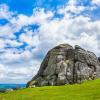 Cottages in Haytor