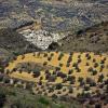 Cottages in Algarinejo