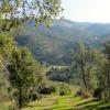 Casas y chalets en Cala