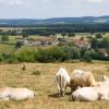 فنادق رخيصة في Vitry-en-Charollais