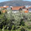 Holiday Rentals in San Miguel de Valero