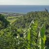 Alquileres vacacionales en la playa en Sainte-Marie