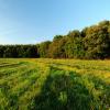 Hotels met Parkeren in Riethoven