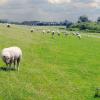 Hotels met Parkeren in Wedel