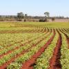 Hotéis em Kingaroy