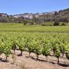 Holiday Rentals in Salles-dʼAude