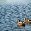 Hoteller med parkeringsplass i Marienheide