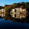 Hoteles que aceptan mascotas en Reston