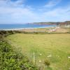 Cottages in Newgale