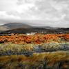 Hoteles que aceptan mascotas en Haverigg