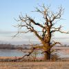 Hoteles familiares en Langeskov